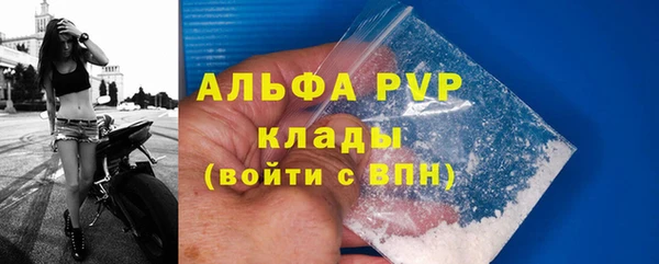 прущая мука Новодвинск