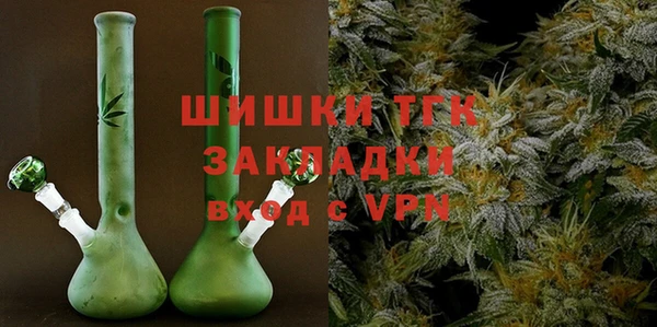 ГАЛЛЮЦИНОГЕННЫЕ ГРИБЫ Арсеньев