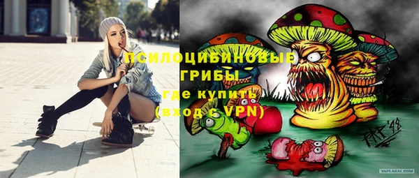 ГАЛЛЮЦИНОГЕННЫЕ ГРИБЫ Арсеньев