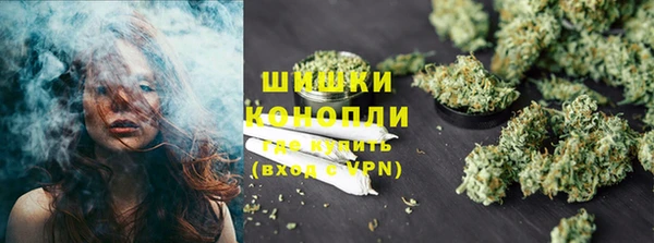 ГАЛЛЮЦИНОГЕННЫЕ ГРИБЫ Арсеньев