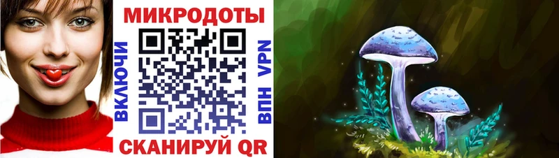 Галлюциногенные грибы Cubensis  где можно купить   Таруса 